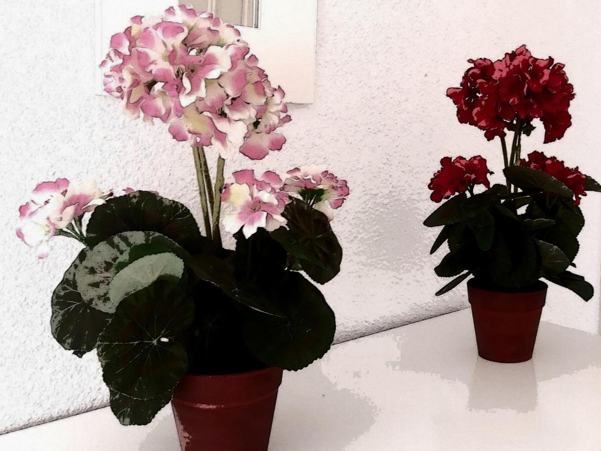 Apartamento Casa Pascual.tranquilidad En Pleno Centro Sevilla